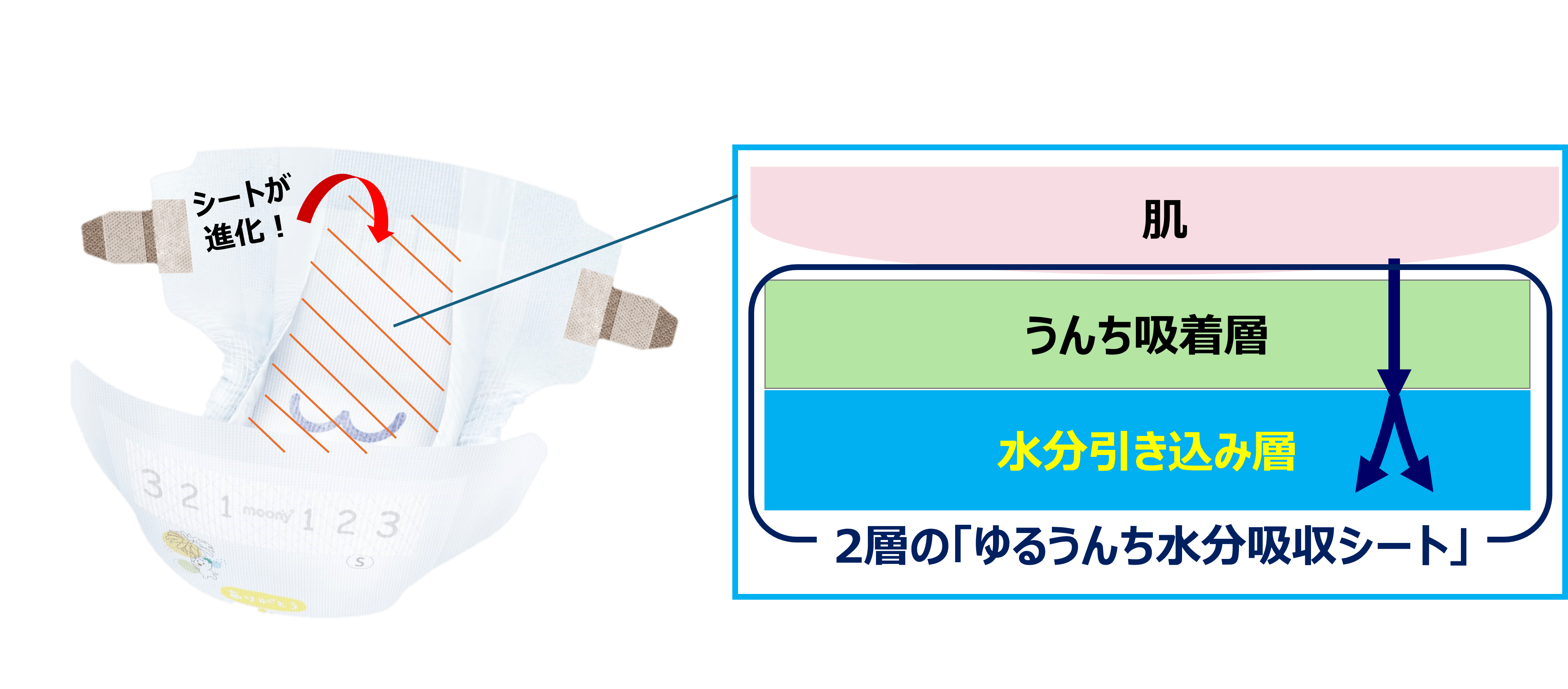 シートが進化！2層の「ゆるうんち水分吸収シート」