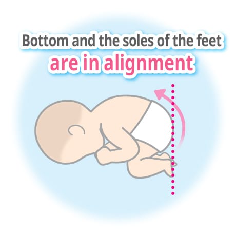 Bottom and the soles of the feet are in alignment
