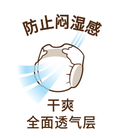 防止闷湿感 干爽全面透气层