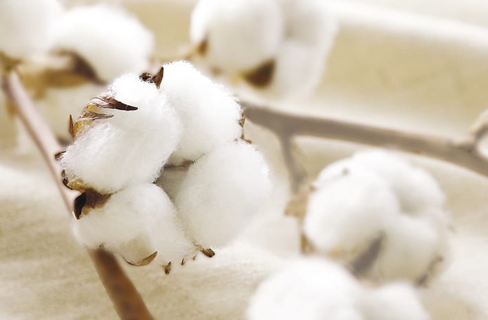 日本唯一*表层添加了有机棉的产品