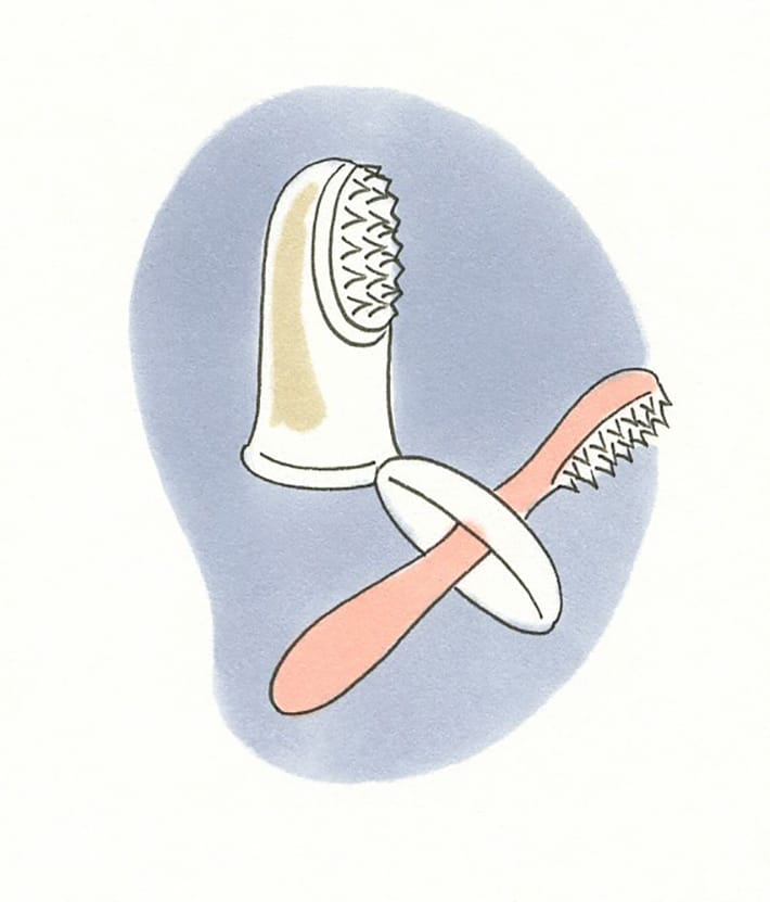 赤ちゃんの歯磨きのやり方やタイミング 注意点について おむつのムーニー 公式 ユニ チャーム