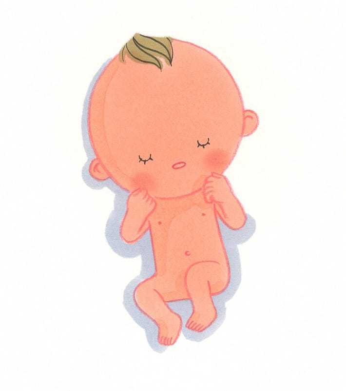 新生児の赤ちゃんの体 