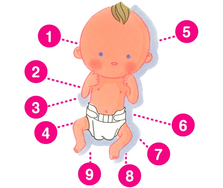 新生児の赤ちゃんの体 