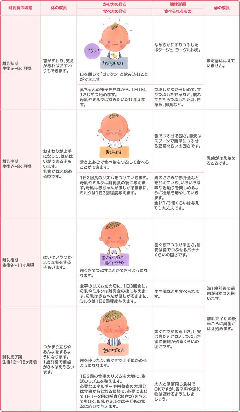 離乳食の進め方の目安