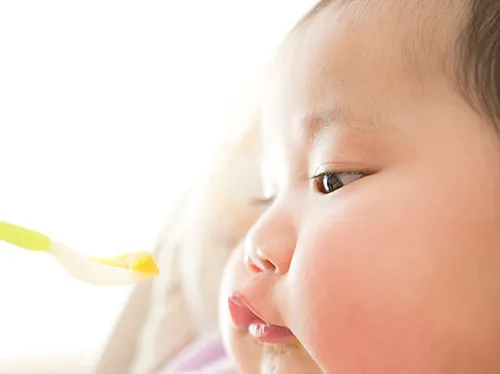 離乳食の進め方を初期・中期後期・完了期までそれぞれ解説!【管理栄養士監修】