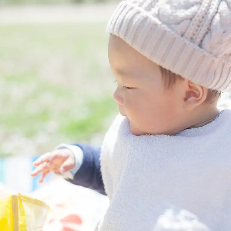 春の行楽の過ごし方