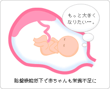体重 ペース 胎児 増加 妊娠10ヶ月（妊娠36週、37週、38週、39週）の胎児と母体の状態